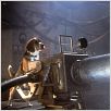 Comme chiens et chats : photo Lawrence Guterman