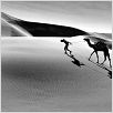 Un Homme sans l'Occident : photo
