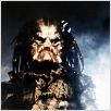 Predator : photo