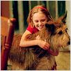 Winn-Dixie mon meilleur ami : photo AnnaSophia Robb, Wayne Wang