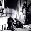 Le Rebelle : photo Gary Cooper, Patricia Neal, William Wyler
