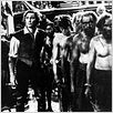 L'Aigle des mers : photo Errol Flynn, Michael Curtiz