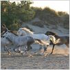 Danse avec lui : photo Valérie Guignabodet