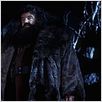 Harry Potter à l'école des sorciers : photo Chris Columbus, Robbie Coltrane