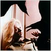 Les Oiseaux : photo Alfred Hitchcock, Tippi Hedren