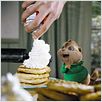 Alvin et les Chipmunks : photo Tim Hill
