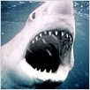 Les Dents de la Mer : photo Steven Spielberg