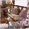 L'Ile de Nim : photo Abigail Breslin, Jennifer Flackett, Mark Levin