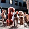 Babe, le cochon dans la ville : photo George Miller
