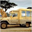 Safari : photo Olivier Baroux