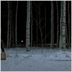 Morse : photo Tomas Alfredson
