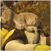 Shrek 4, il était une fin : photo Mike Mitchell