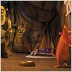 Shrek 4, il était une fin : photo Mike Mitchell