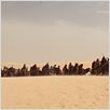 Or Noir : photo Jean-Jacques Annaud