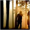 La Ballade de l'Impossible - Norwegian Wood : photo