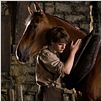 Cheval de guerre : Photo Jeremy Irvine, Steven Spielberg