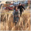 Miss Bala : photo