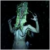 Kill List : photo
