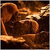 Riddick : photo