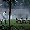 The Human Centipede (First Sequence) : photo