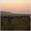 Hors des sentiers battus : photo