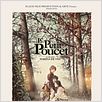 Le Petit Poucet (TV) : affiche