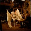 The Vintner's Luck : photo