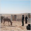 Sharqiya : photo
