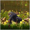 Les As de la jungle - Opération banquise : photo