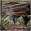 After Earth 2013 FRENCH WEBRip LD XVID 73v3n After Earth 2013 FRENCH WEBRip LD XVID 73v3n