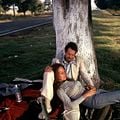 Apportez-moi la tête d'Alfredo Garcia : Photo Isela Vega, Warren Oates