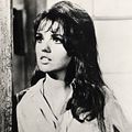 Les Envahisseurs : photo Suzanne Pleshette