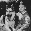 Photo : Rintintin