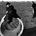 Il Bidone : Photo Broderick Crawford, Richard Basehart