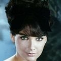 photo Suzanne Pleshette