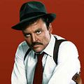 Photo : Mike Hammer