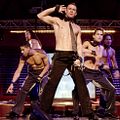 Magic Mike : photo Adam Rodriguez, Channing Tatum, Joe Manganiello, Matt Bomer