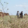 Un été à Osage County : Photo Julia Roberts, Meryl Streep
