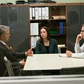 Photo Boo Arnold, Irv Nesbitt, Julianne Nicholson