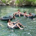 Everybody Wants Some !! : Photo Blake Jenner, Forrest Vickery, Glen Powell, J. Quinton Johnson, Tanner Kalina