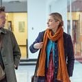 Maggie a un plan : Photo Ethan Hawke, Greta Gerwig