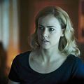 Photo Amanda Schull