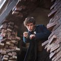 Les Animaux fantastiques : Photo Eddie Redmayne