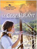 Le Cerf-volant