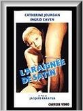 L'araignée de satin