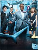 House of Lies