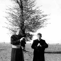 Il Bidone : Photo Broderick Crawford, Richard Basehart