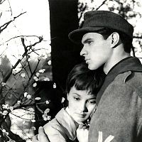 Le Temps d'aimer et le temps de mourir : photo Douglas Sirk, John Gavin, Liselotte Pulver