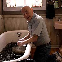 Sunshine Cleaning : photo Alan Arkin, Christine Jeffs