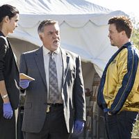 Photo Angie Harmon, Bruce McGill, Lochlyn Munro